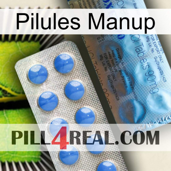 Manup Pills 40